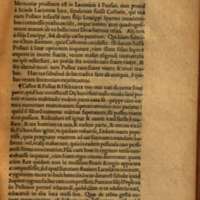 Mythologia, Francfort, 1581 - VIII, 9 : De Castore & Polluce, p. 863
