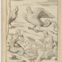 Imagini, Venise, 1571 - 44 : Les Harpyes ou Lamia