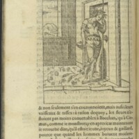 Images, Lyon, 1581 - 66 : Comus