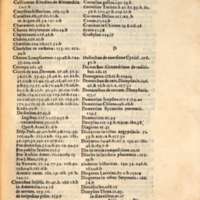 Mythologia, Venise, 1567 - Index nominum et locorum variorum scriptorum, 310r°