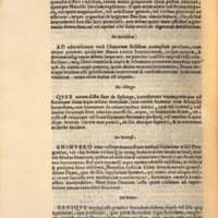 Mythologia, Venise, 1567 - X[134] : De Belidibus, 306v°