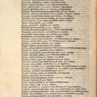 Mythologia, Venise, 1567 - Nominum illorum, quae in ipsis fabulis continentur, explicatio, 338v°