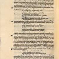 Mythologia, Venise, 1567 - IV, 14 : De Cupidine, 127v°