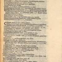 Mythologia, Venise, 1567 - Nominum illorum, quae in ipsis fabulis continentur, explicatio, 332r°