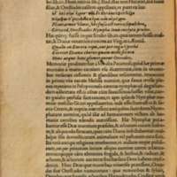Mythologia, Francfort, 1581 - V, 10 : De Sylvano, p. 470