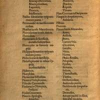 Mythologia, Francfort, 1581 - Catalogus nominum variorum scriptorum, et operum, quorum sententiae vel verba in his Mythologicis citantur, 6v°