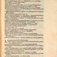 Mythologia, Venise, 1567 - Nominum illorum, quae in ipsis fabulis continentur, explicatio, 336r°