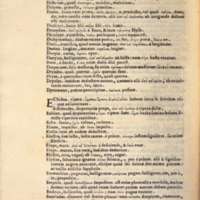 Mythologia, Venise, 1567 - Nominum illorum, quae in ipsis fabulis continentur, explicatio, 333v°