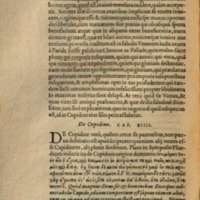 Mythologia, Francfort, 1581 - IV, 14 : De Cupidine, p. 402