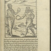 Images, Lyon, 1581 - 03 : Saturne avec têtes de serpent, de lion et de sanglier
