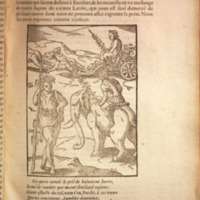 Mythologie, Lyon, 1612 - V, 13 : De Bacchus, p. [525]