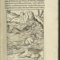 Images, Lyon, 1581 - 38 : Nymphes aquatiques
