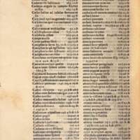 Mythologia, Venise, 1567 - Index rerum notabilium, 317v°