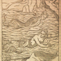 Mythologie, Lyon, 1612 - Nymphes aquatiques